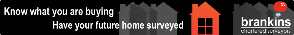 Surveys