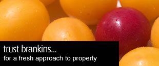 Estate Agents