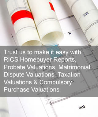 Property surveys and valuations