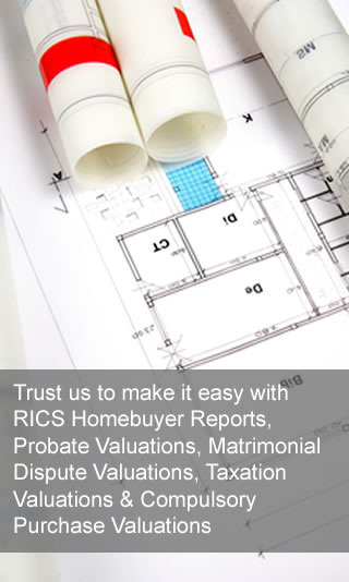 Surveyor for property and homes